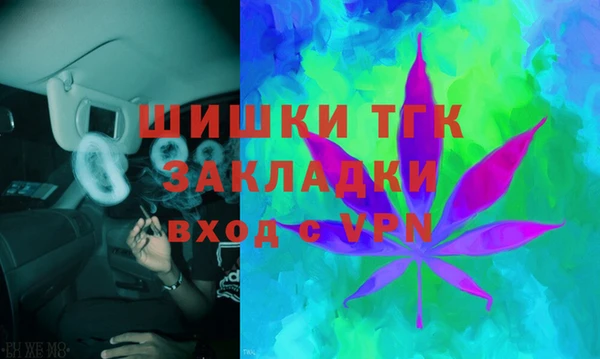 дурь Алексин