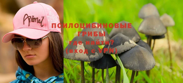ПСИЛОЦИБИНОВЫЕ ГРИБЫ Алзамай