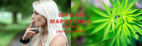 ПСИЛОЦИБИНОВЫЕ ГРИБЫ Алзамай