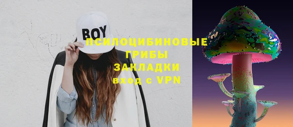 дурь Алексин