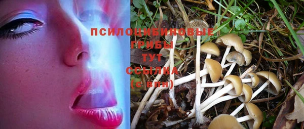 мескалин Осинники